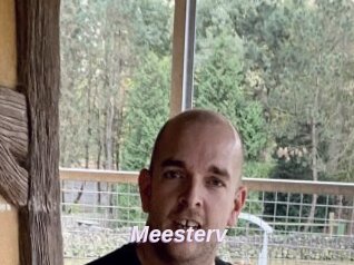 Meesterv