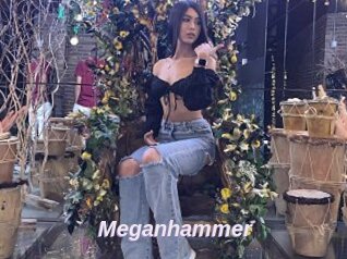 Meganhammer