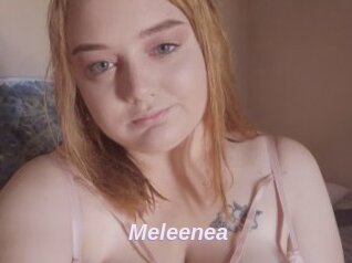 Meleenea