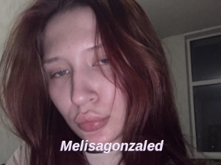 Melisagonzaled