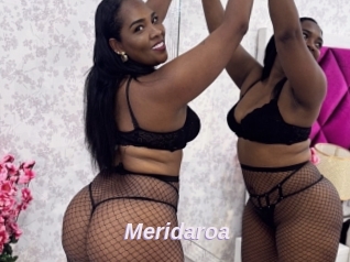 Meridaroa