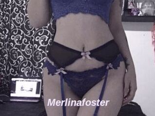 Merlinafoster