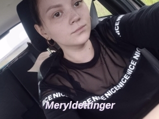 Meryldettinger