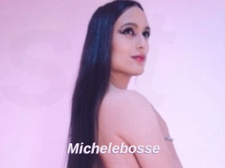 Michelebosse