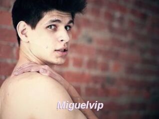 Miguelvip