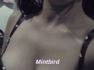 Mintbird