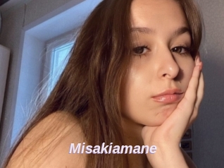 Misakiamane