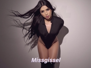 Missgissel