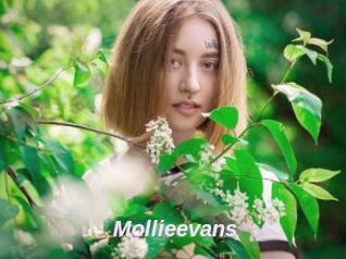 Mollieevans