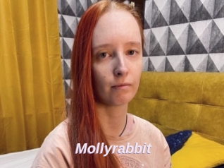 Mollyrabbit