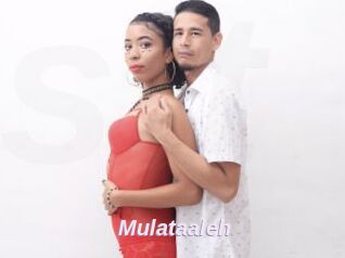 Mulataaleh