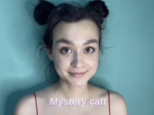 Mystery_catt