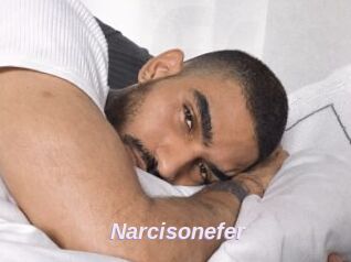 Narcisonefer