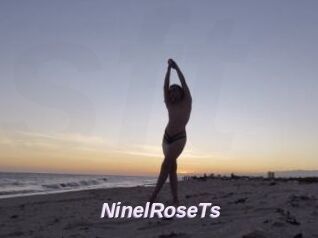 NinelRoseTs