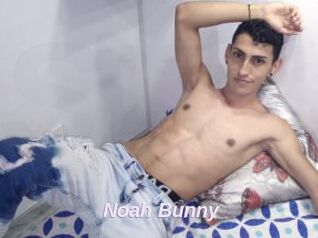 Noah_Bunny