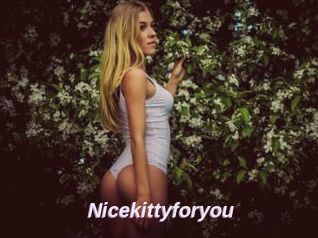 Nicekittyforyou