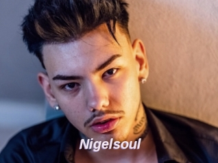 Nigelsoul