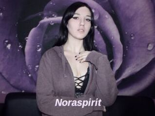 Noraspirit