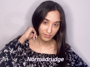 Normadrudge