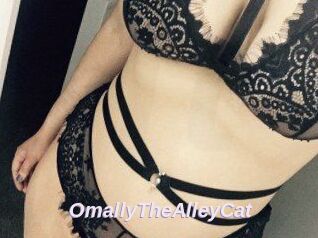 OmallyTheAlleyCat