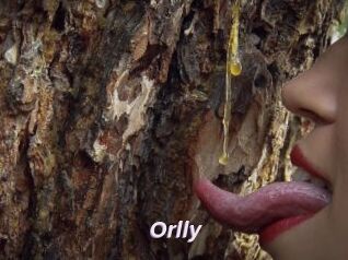 Orlly