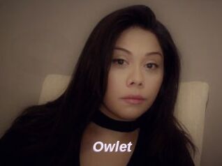 _Owlet_