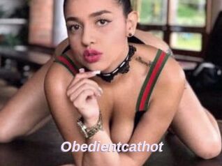 Obedientcathot