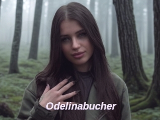 Odelinabucher