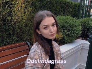 Odelindagrass