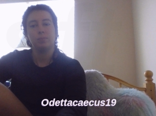 Odettacaecus19
