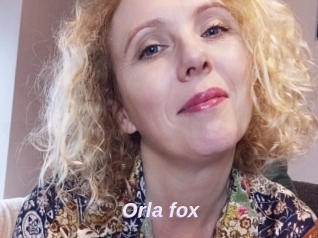 Orla_fox