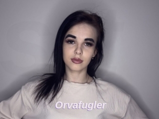 Orvafugler