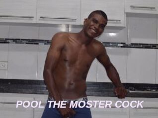 POOL_THE_MOSTER_COCK