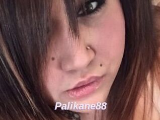 Palikane88
