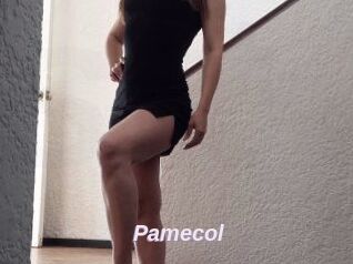 Pamecol