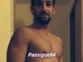Pamigue84
