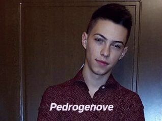 Pedrogenove