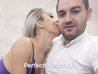 PerfectHardcor1X