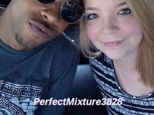 PerfectMixture3828