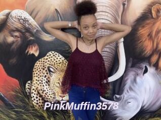 PinkMuffin3578