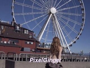 PixelGinger
