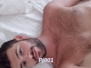 Pj001