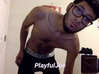 PlayfulJoe