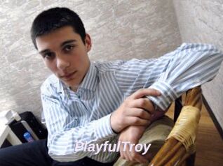 PlayfulTroy
