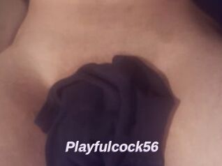 Playfulcock56