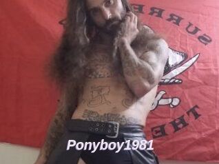Ponyboy1981