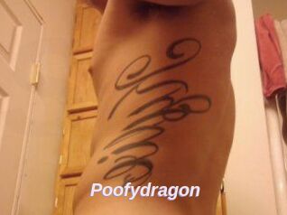 Poofydragon