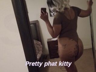 Pretty_phat_kitty
