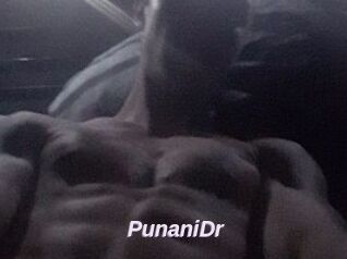 PunaniDr
