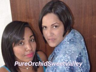 PureOrchidS_weetValley